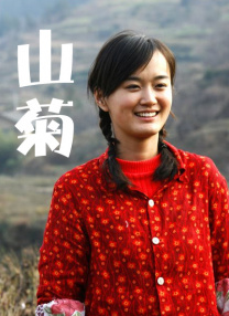 你不能说的秘密